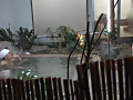 画像0056