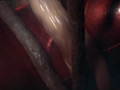 画像0036