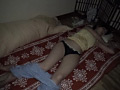 画像0087