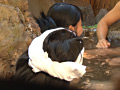 画像0138