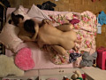 画像0223