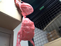画像0192