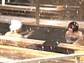 画像0086