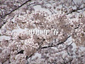 画像0104