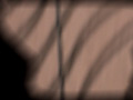 画像0136