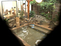 画像0044