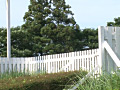 画像0035