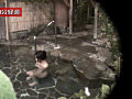 画像0169