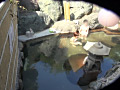 画像0030