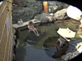 画像0057