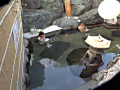 画像0080