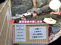 画像0083