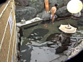 画像0120