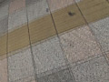 画像0123