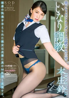 美人キャビンアテンダントをいいなり調○ 本庄鈴