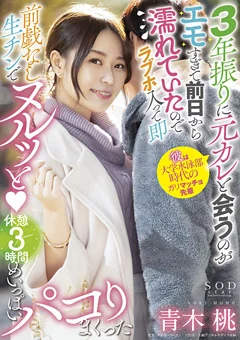 休憩 3 時間めいっぱいパコりまくった 青木桃
