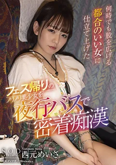 フェス帰りのノリノリ美少女を夜行バスで密着痴漢