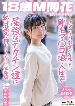 屈強なデカチン達に終日滅多挿しにされる 桜庭菜乃花