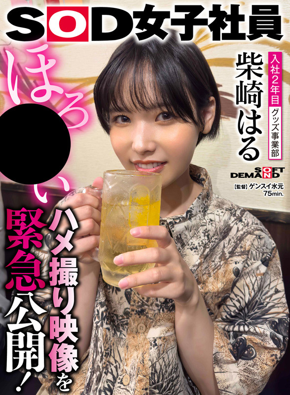 柴崎はる 初総集編！豪華10時間スペシャル 画像10