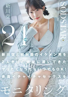 赤面イチャイチャセックスを24時間モニタリング 新川空