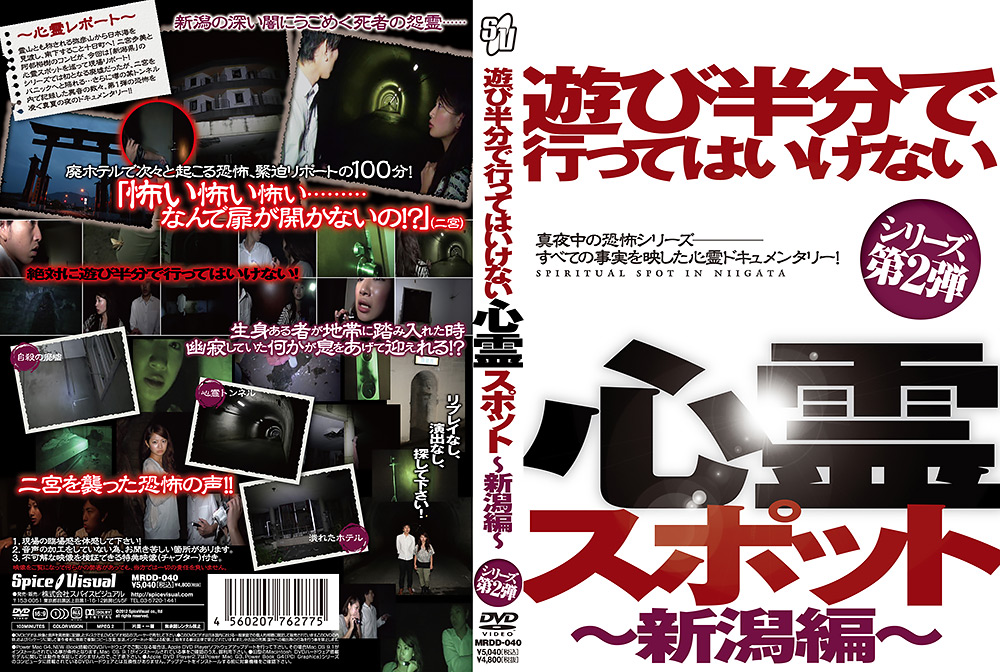 遊び半分で行ってはいけない心霊スポット ～新潟編～