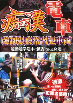 痴漢電車 強制猥褻常習犯車両