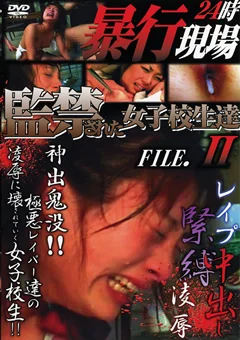 暴行現場24時 監禁された女子校生達 FILE.2