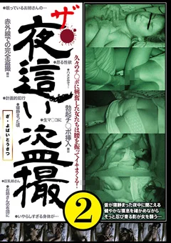 ザ･夜這い盗撮2