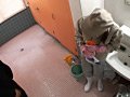 画像0055