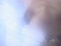 画像0069