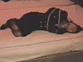 [stsukamae-0017] 磔にされた制服女性 りえのキャプチャ画像 10