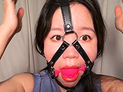 菅原花音 － Ballgag Collection