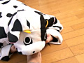 画像0045