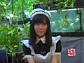 [teihatsu-0047] Cutie Doll 通常版のキャプチャ画像 1