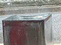 Digest Image 5