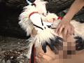 画像0215