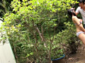 画像0167