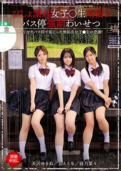 びしょ濡れ女子○生雨宿りバス停強制わいせつ