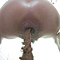 丸見え女子便所6