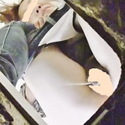 汲み取り便槽内立て籠もり3