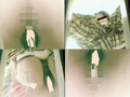 Capture-Image