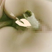 オールうんこ第2弾 汲み取りトイレ下から○撮