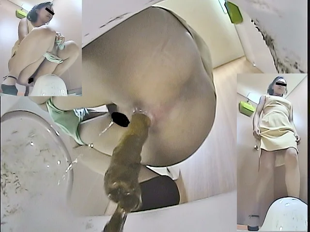 汲み取り仮設トイレ（1）