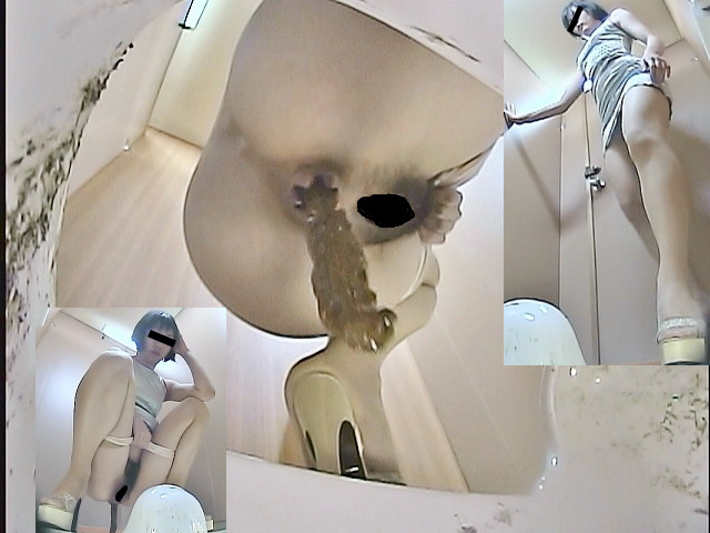 汲み取り仮設トイレ（1） 画像2