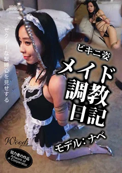 メイド調教日記
