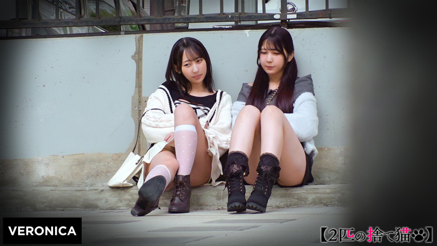 VERONICA S.Y.＆M.S. 画像1