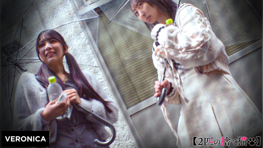 VERONICA S.Y.＆M.S. 画像2