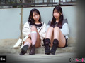 VERONICA S.Y.&M.S. サンプル画像1