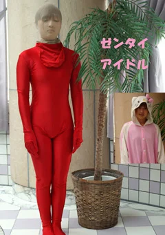 ゼンタイアイドル