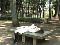 画像0056